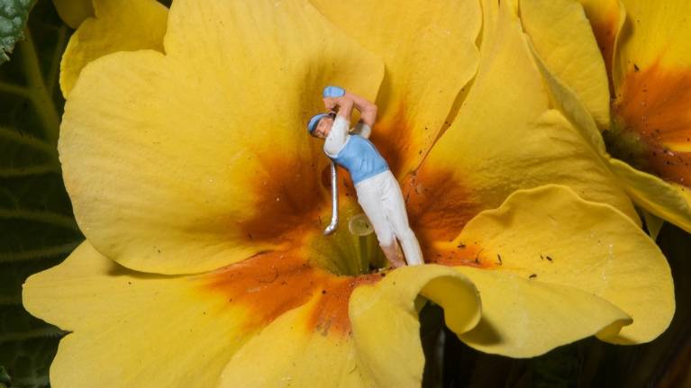 10 Sports Events to See in Springtime