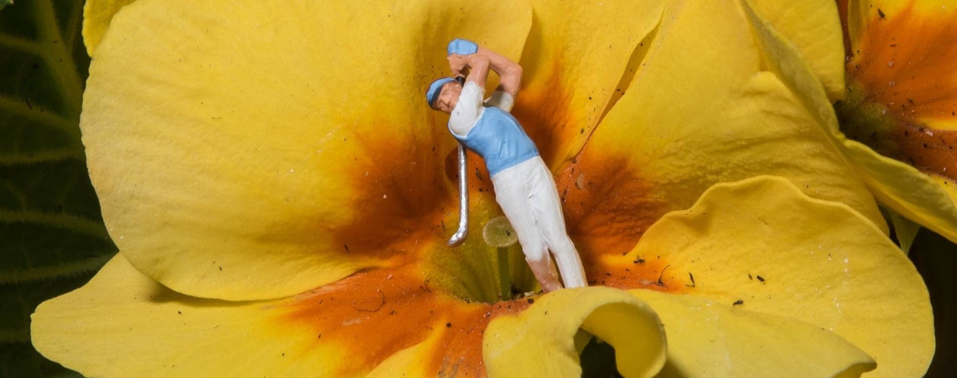 10 Sports Events to See in Springtime