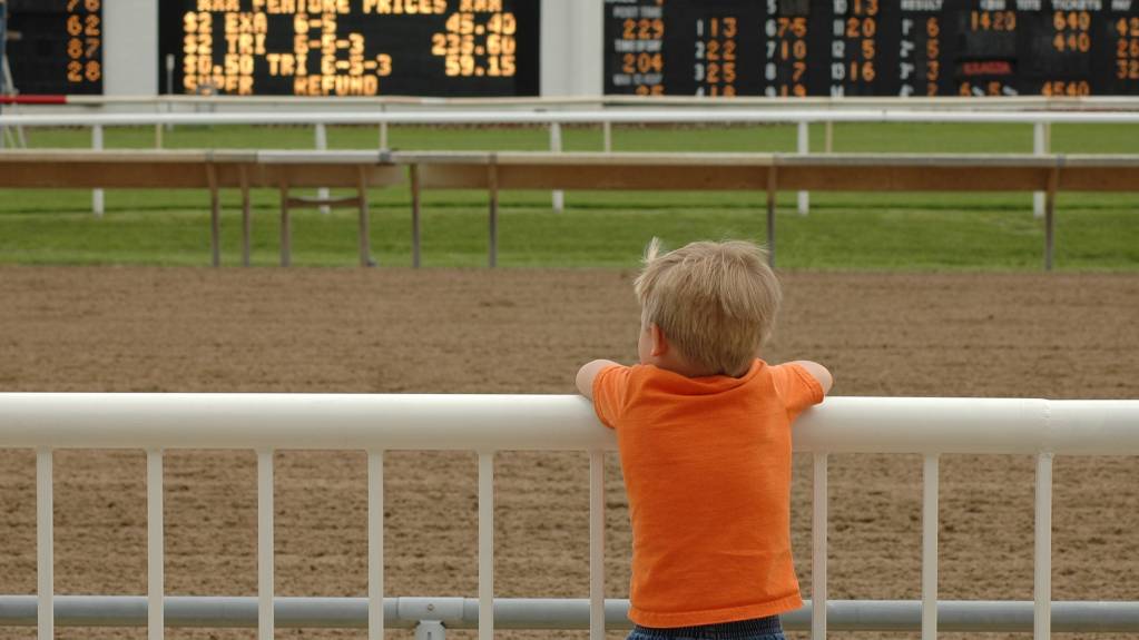 A child enjoying a horse racing event