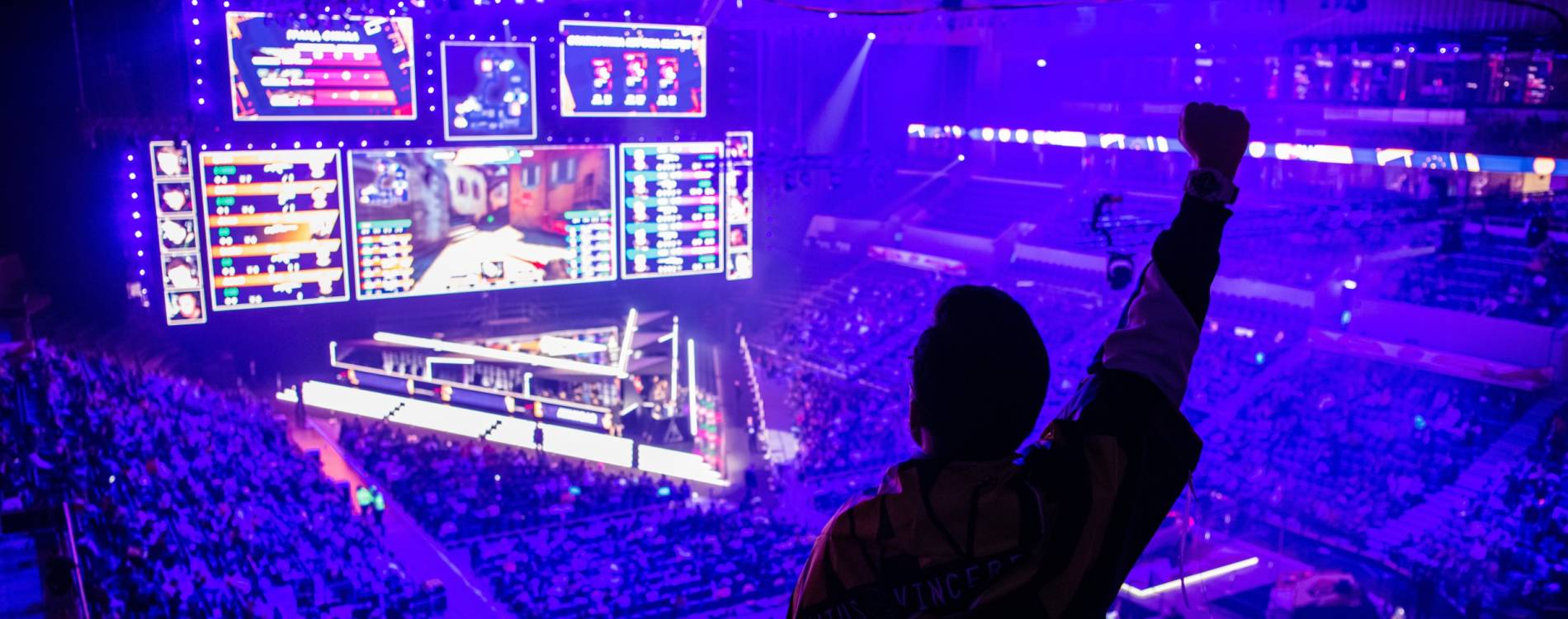 A fan celebrates during an esports tournament