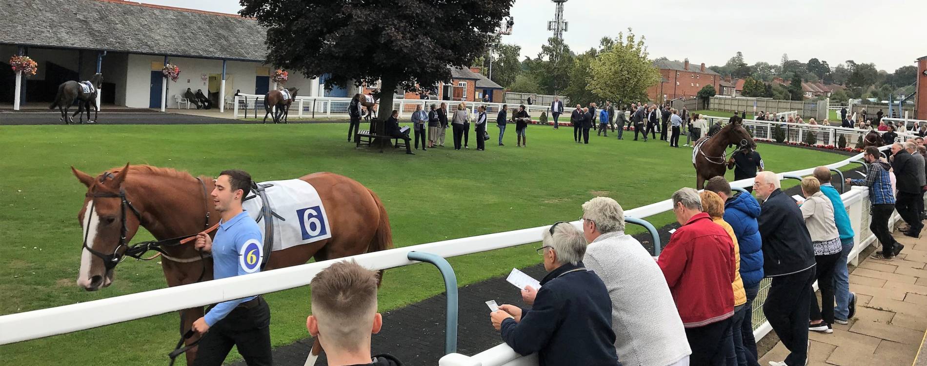 A horse walks around the parade ring at Leicester Racecourse