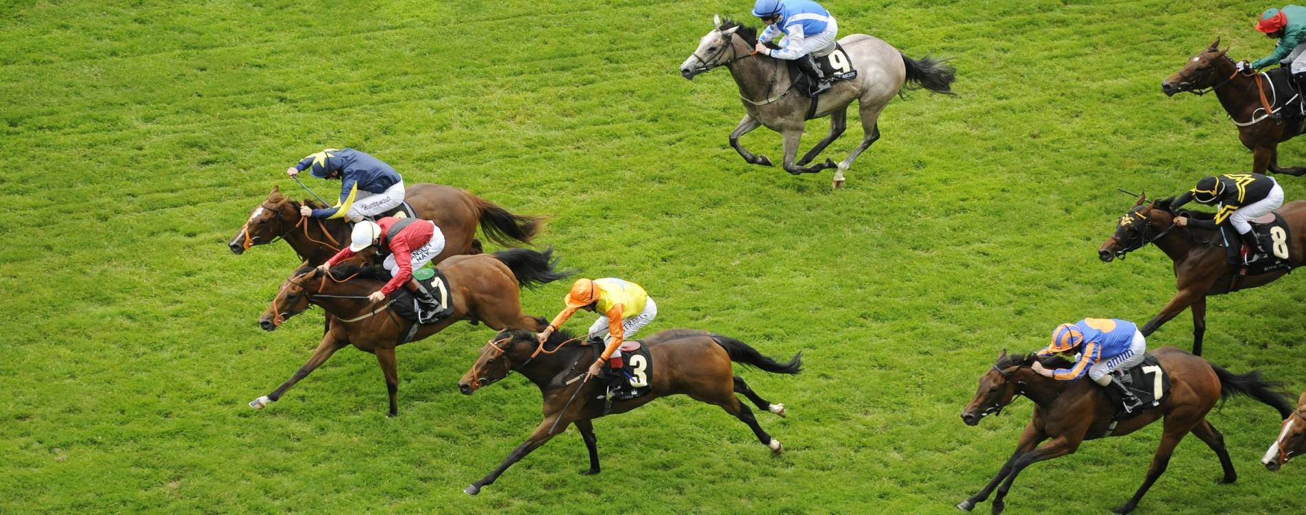 A look from above during a horse race