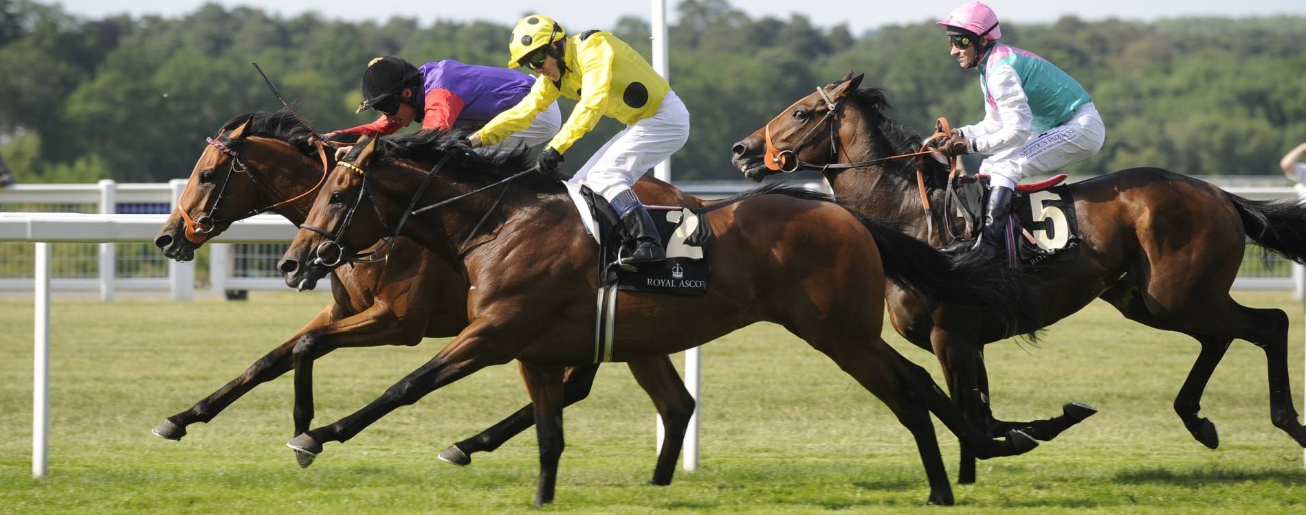 A race for the finish