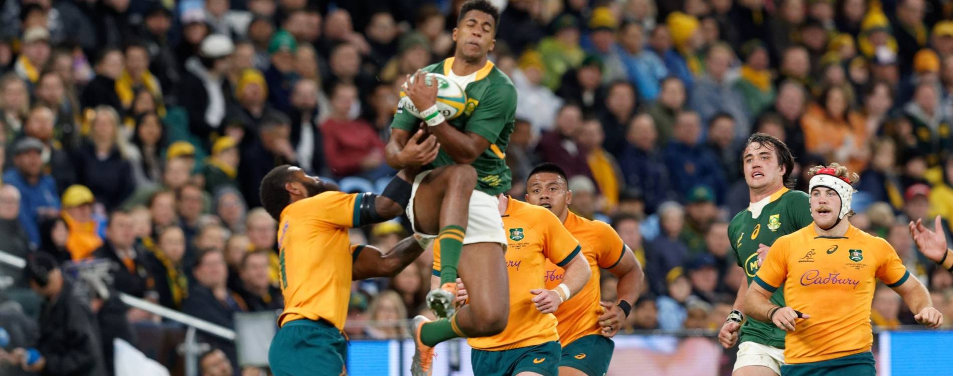 A Rugby Championship fixture between Australia and South Africa