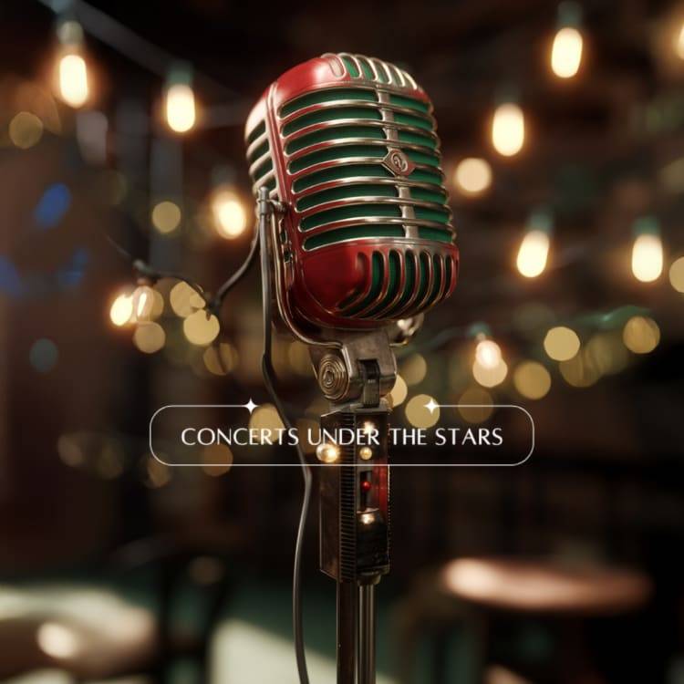 A Very Sinatra Christmas Special at the Olympic Rooftop Pavilion