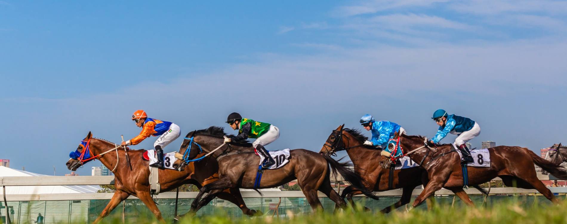 A view across the track during a horse race