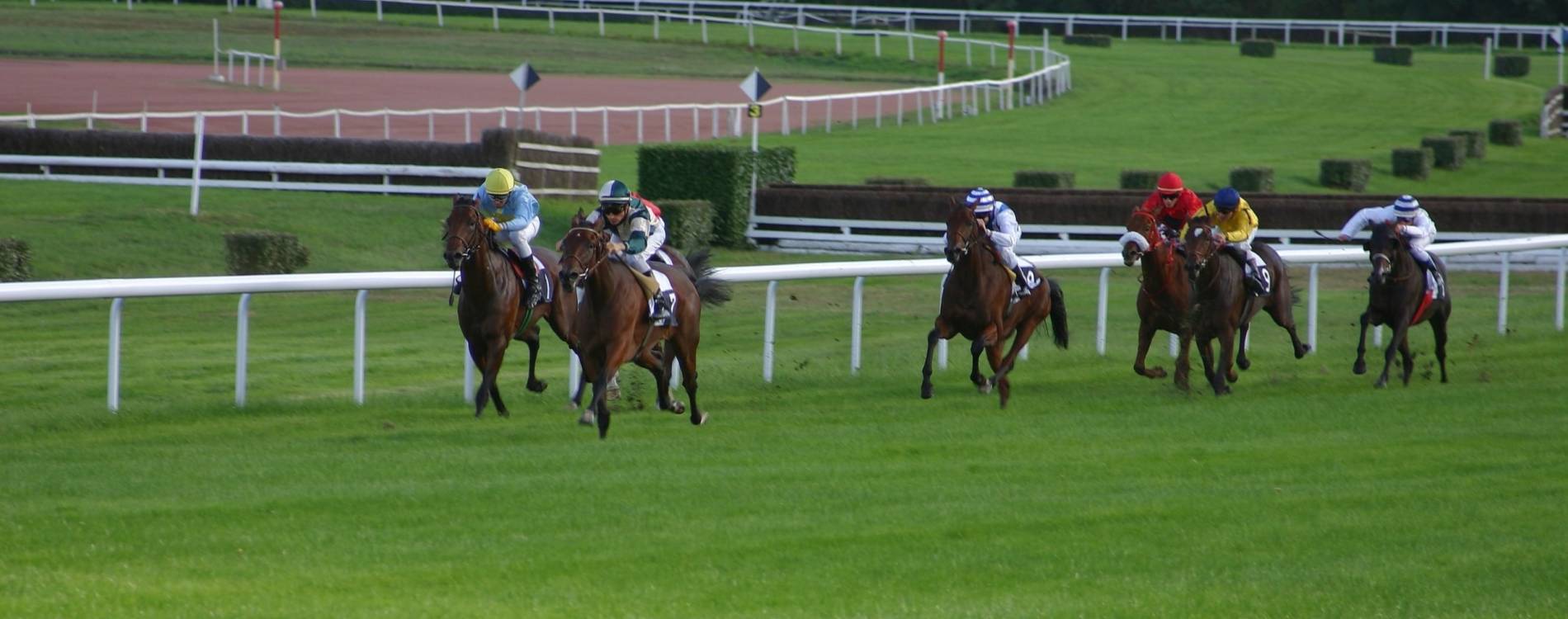 Afternoon Racing Day 1