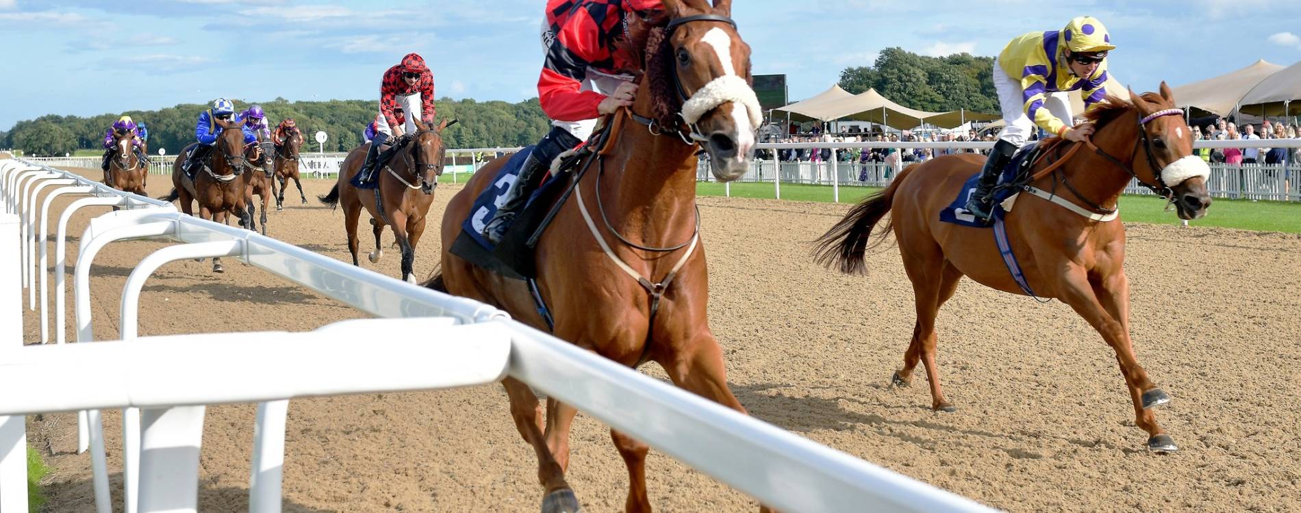 All-Weather at Newcastle