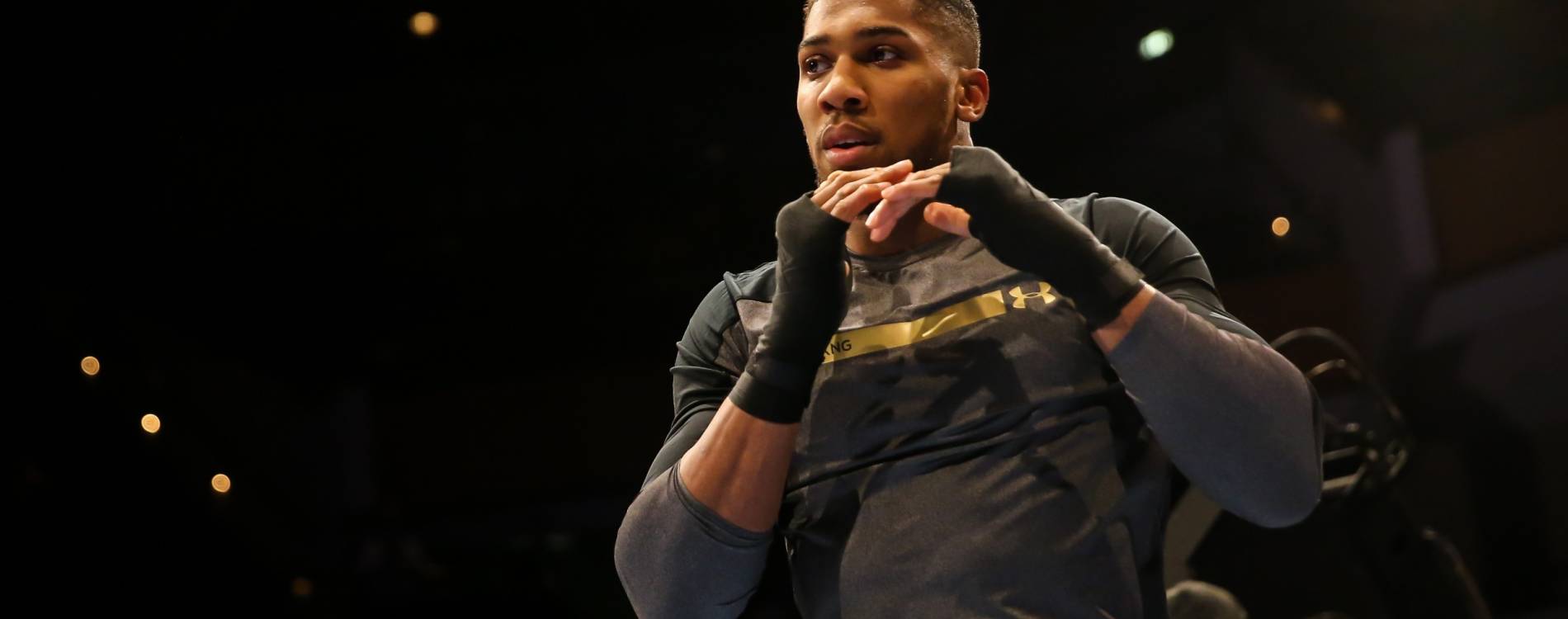 Anthony Joshua at a public workout