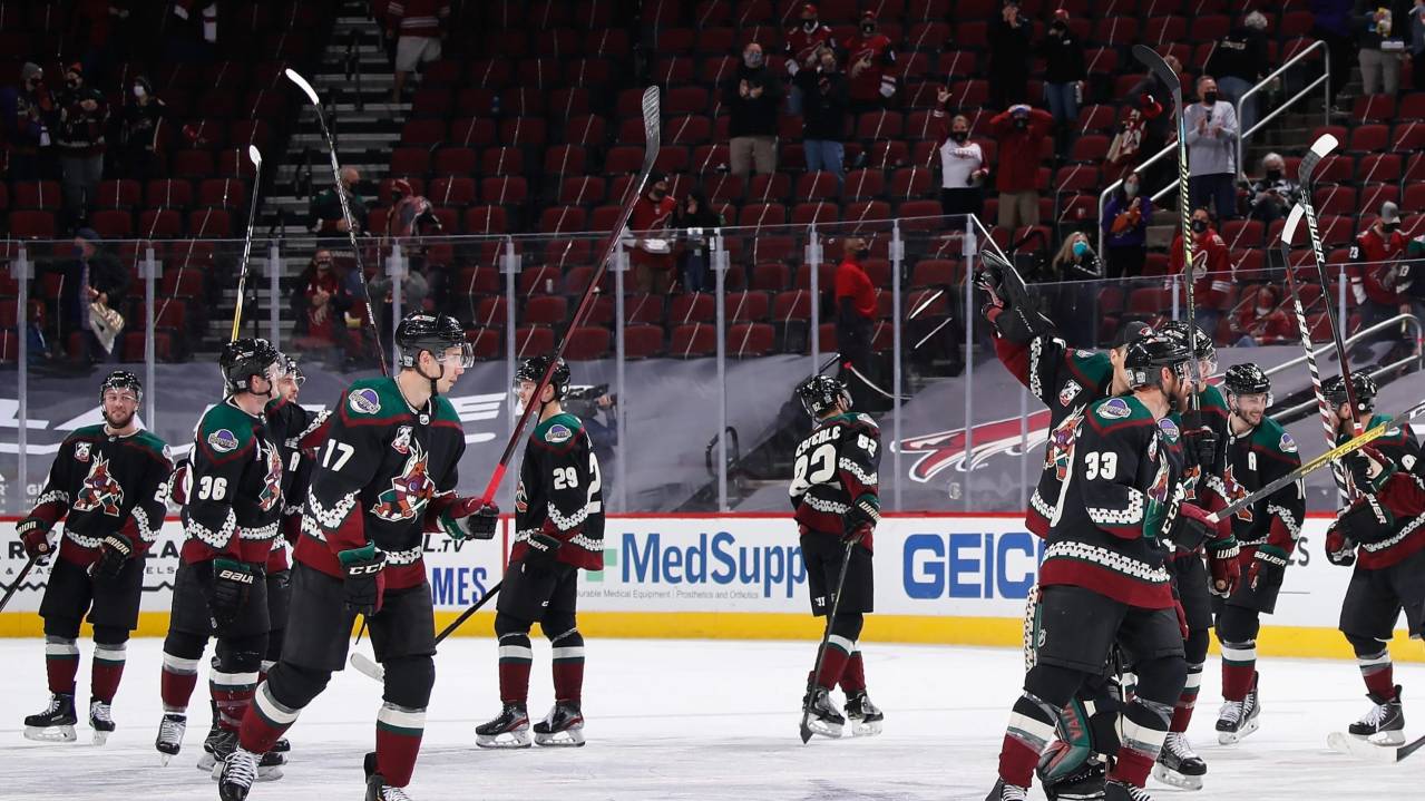 Arizona Coyotes viewing
