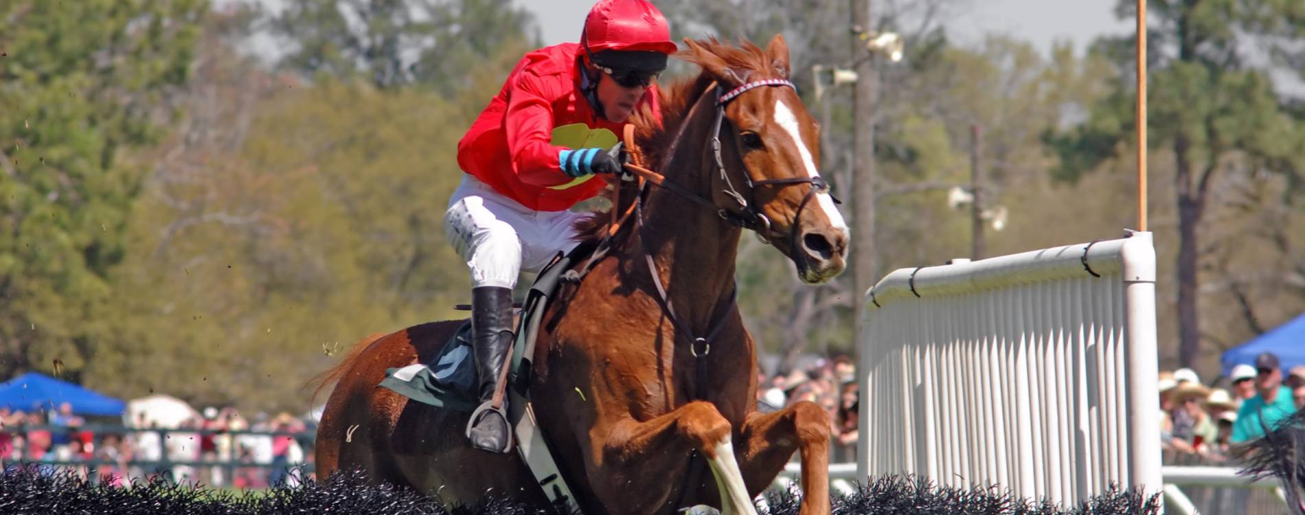Ascot Chase
