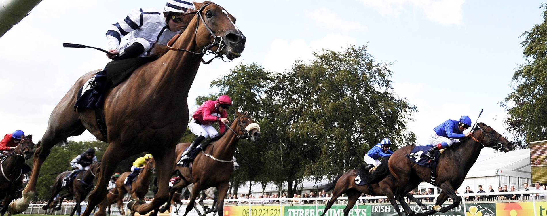 Ascot racing