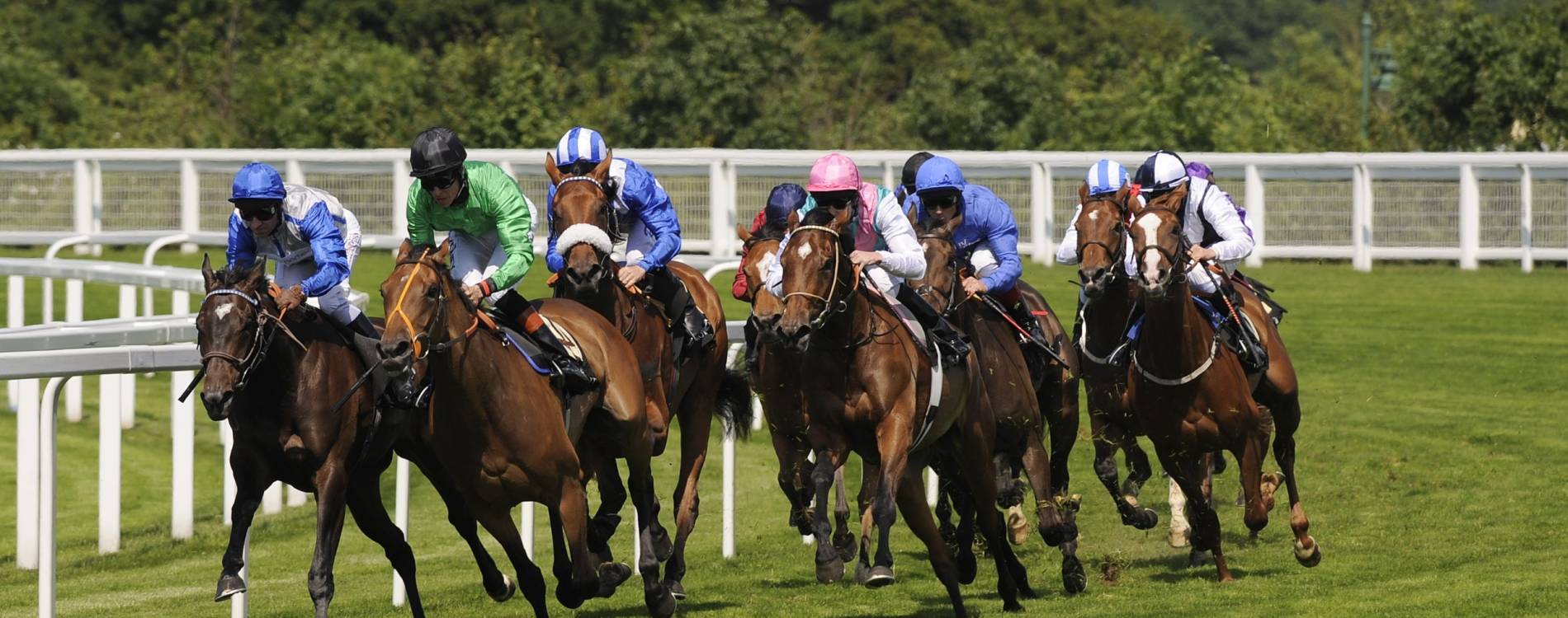 Ascot runners and riders