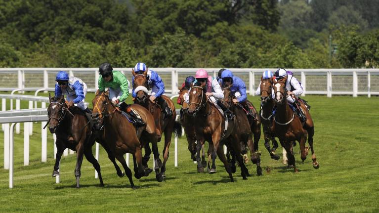 BetMGM Clarence House Chase Raceday