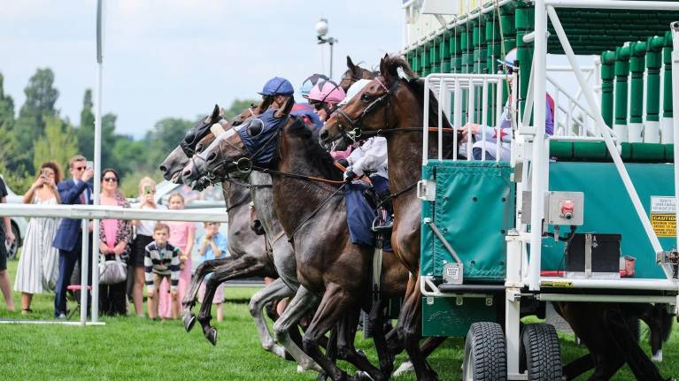 Thrilling Flat Racing Season Thunders out of the Starting Stalls