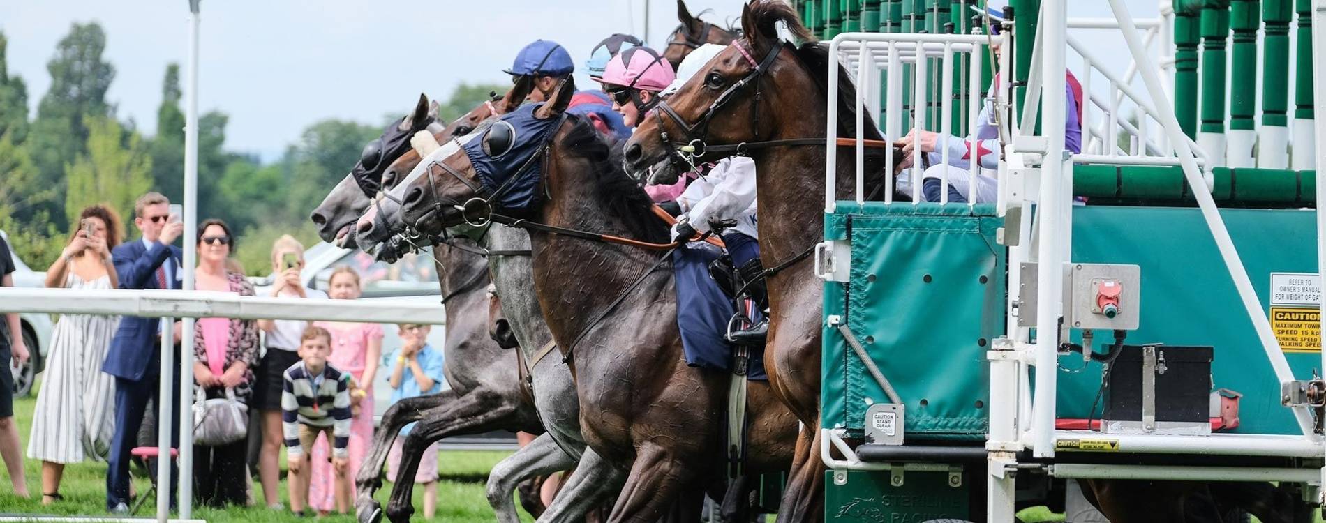 Ascot Starting Gates