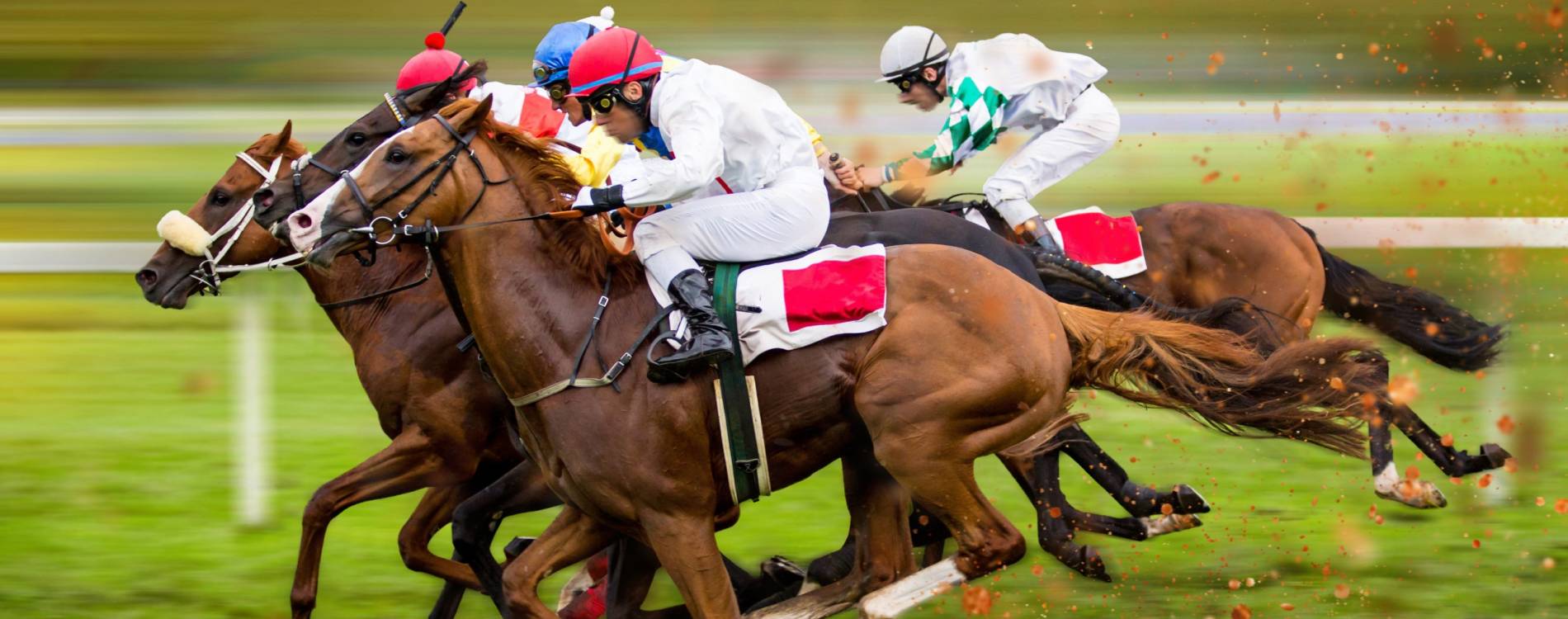 Ascot Trials