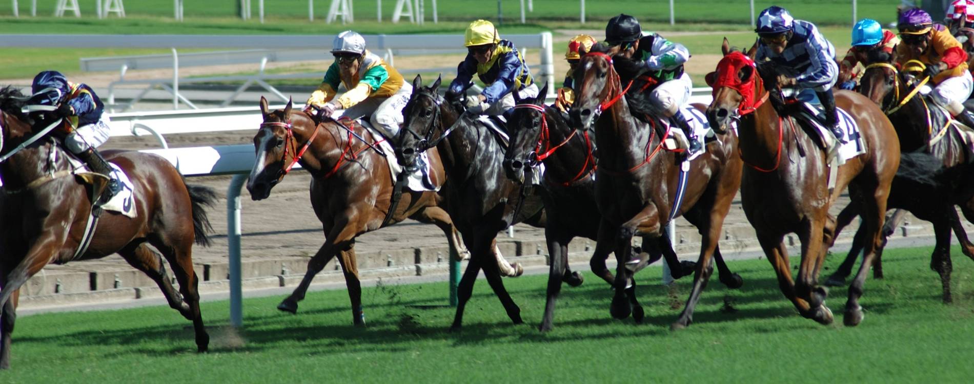 August Flat Racing