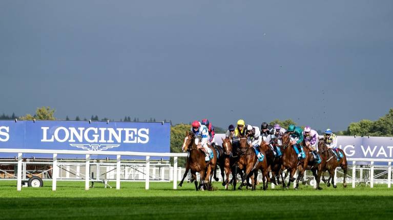 Autumn Racing Weekend