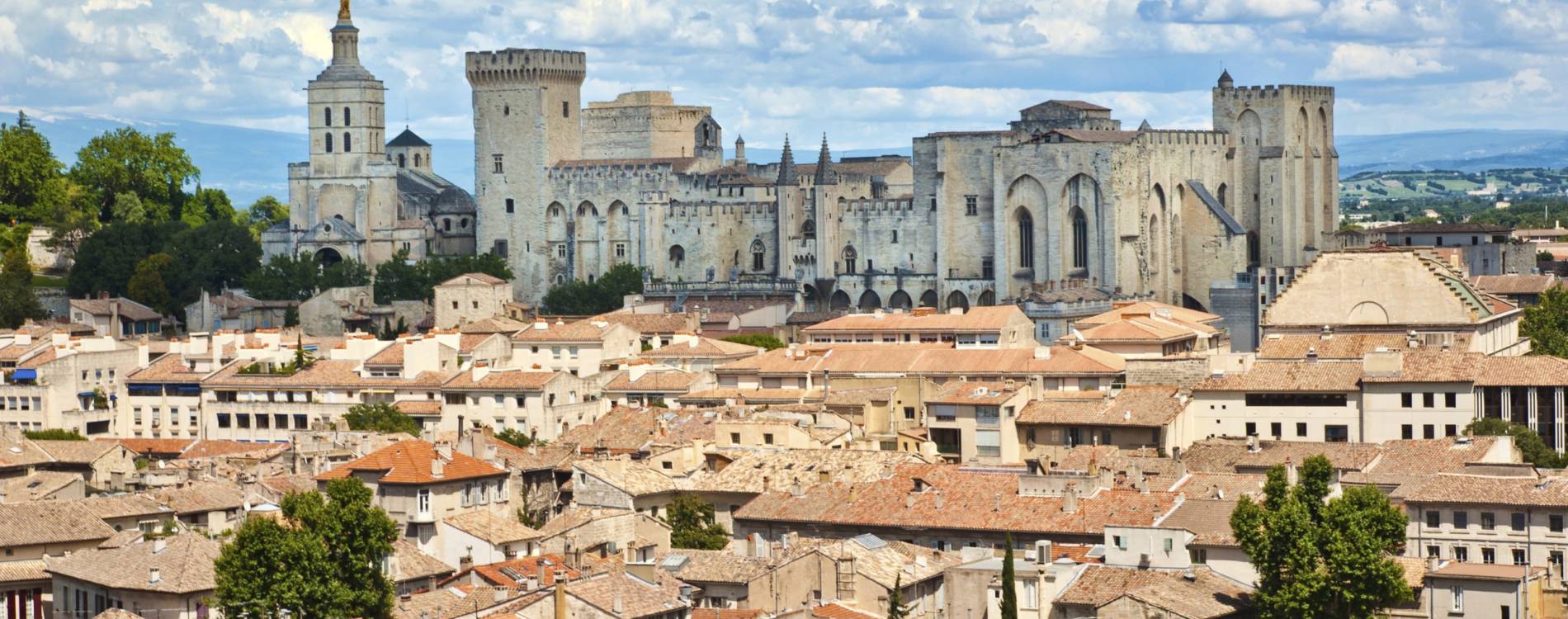 Avignon skyline