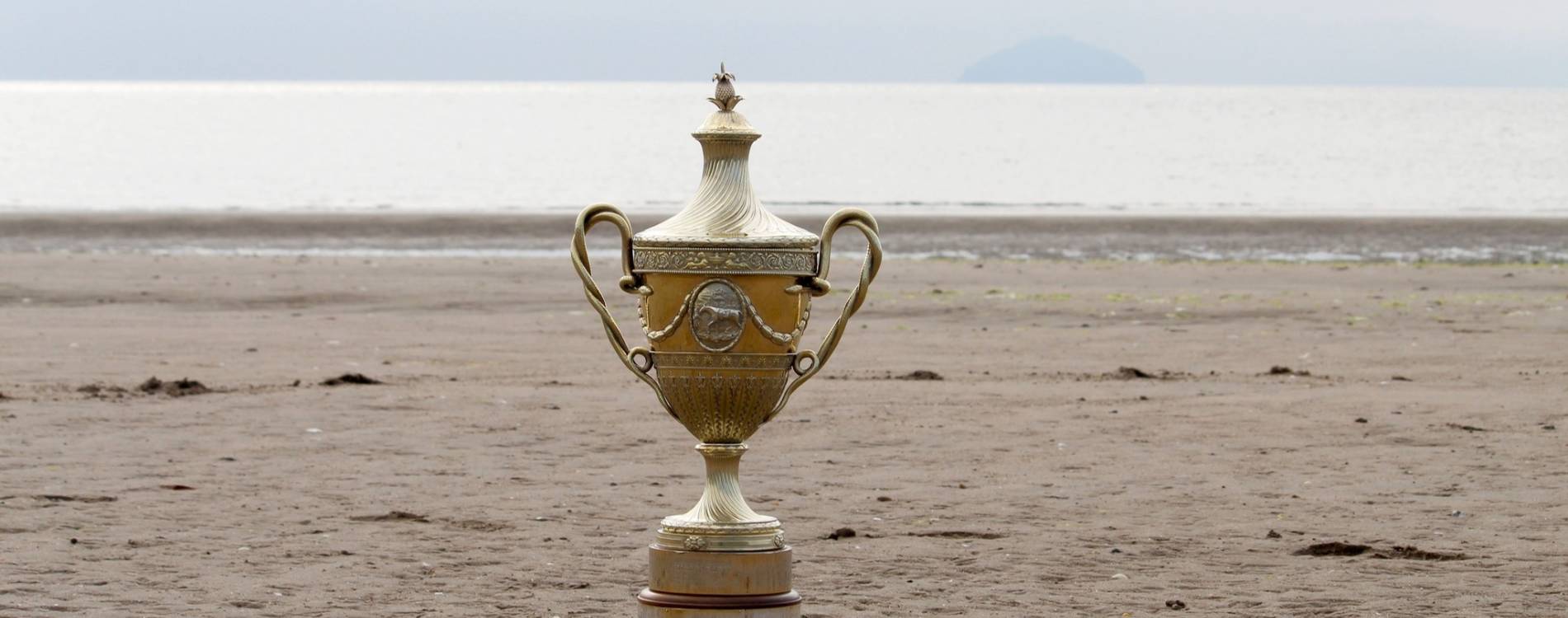 Ayr Gold Cup