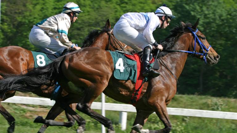 Ayr Gold Cup Festival