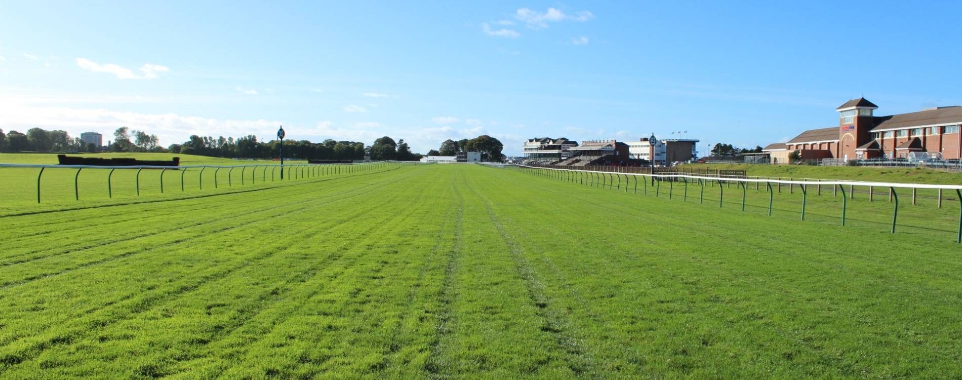 Ayr Racecourse