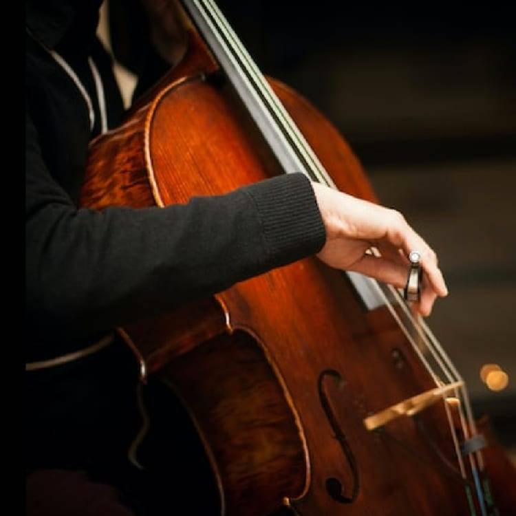 Bach Cello Suites by Candlelight at St Mary le Strand