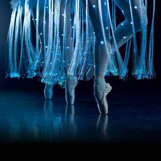 Ballet of Lights : La Belle au bois dormant dans un spectacle étincelant