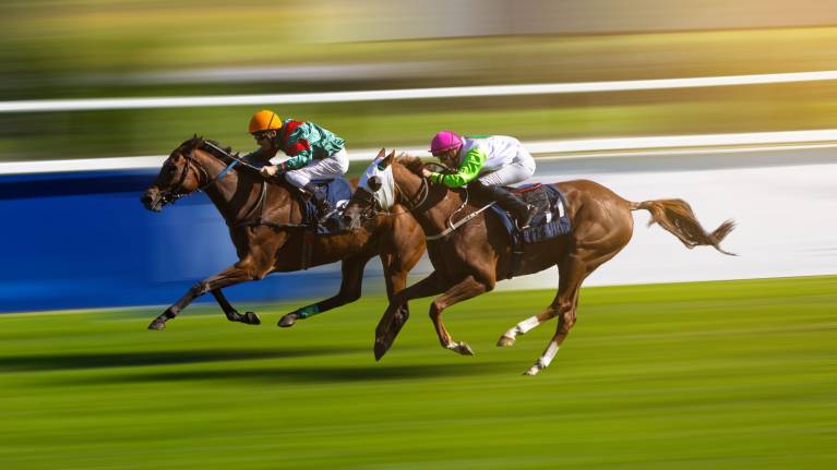 Beer Festival Raceday