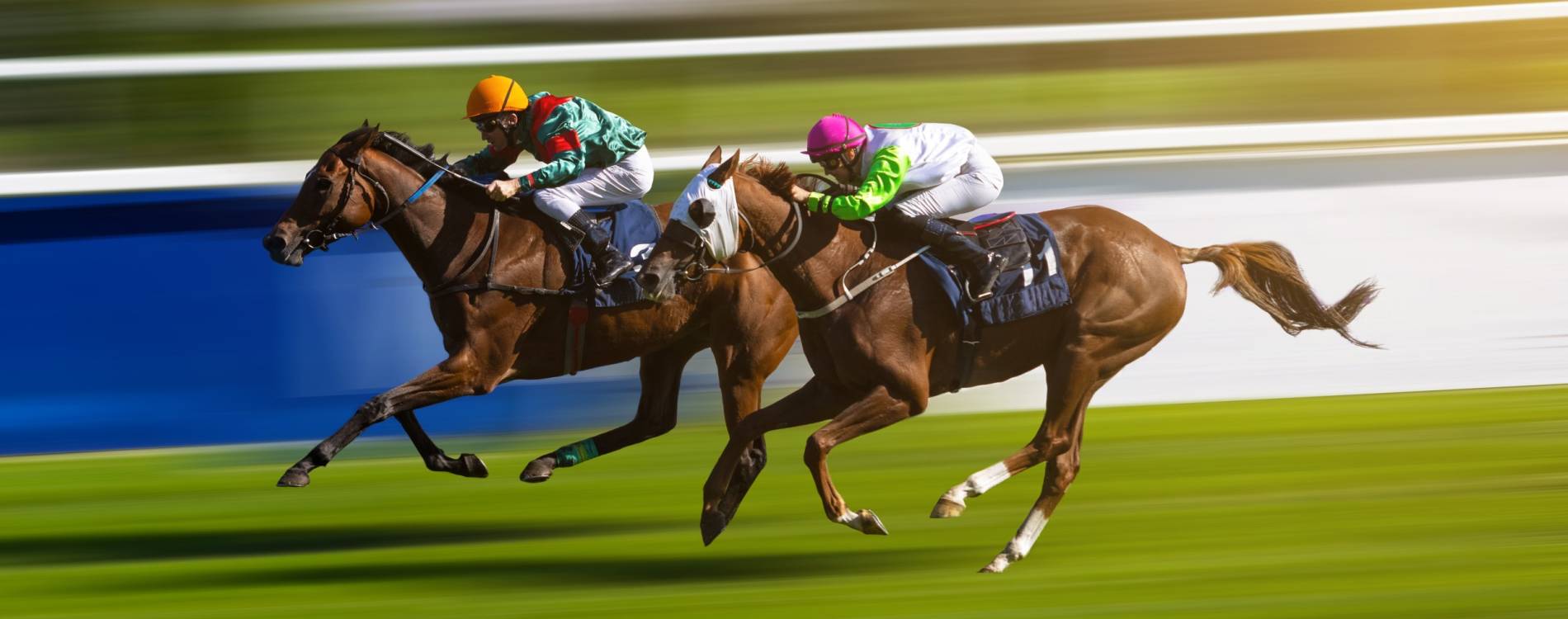 Beer Festival Raceday