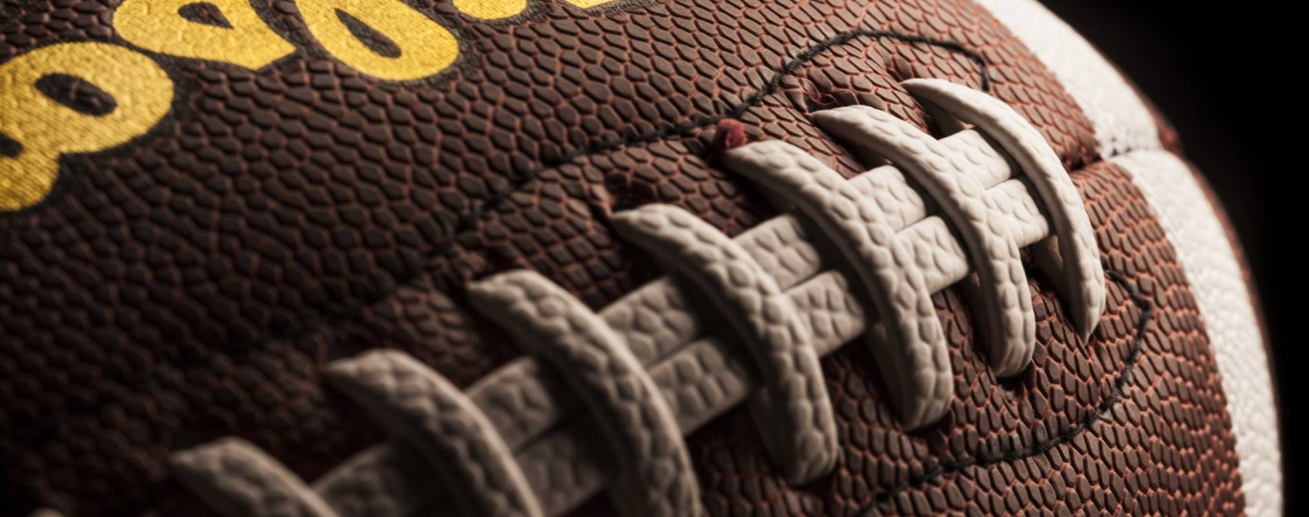 Beginner's Guide to the NFL