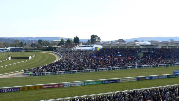 Best Mate Enclosure Cheltenham