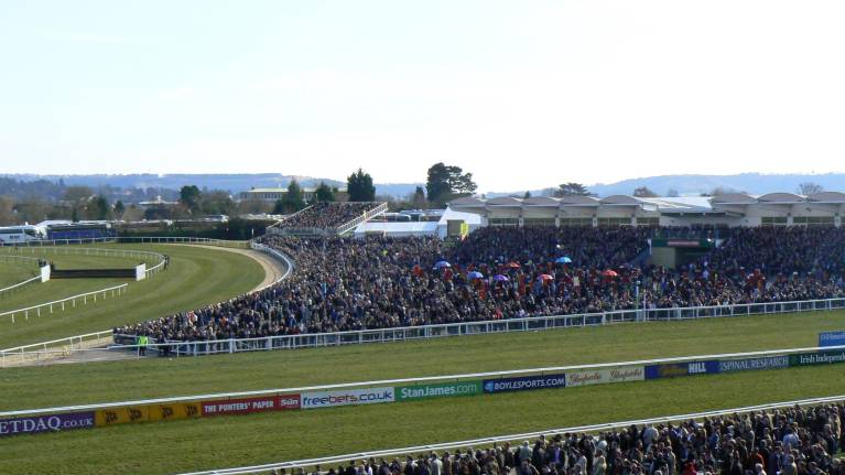 Best Mate Enclosure Cheltenham