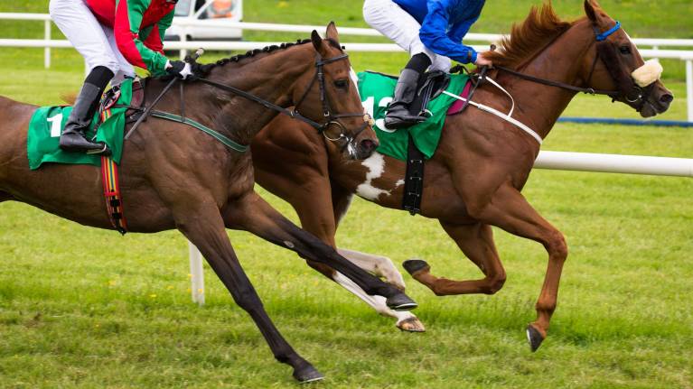 BetVictor Weekend Raceday (Saturday)