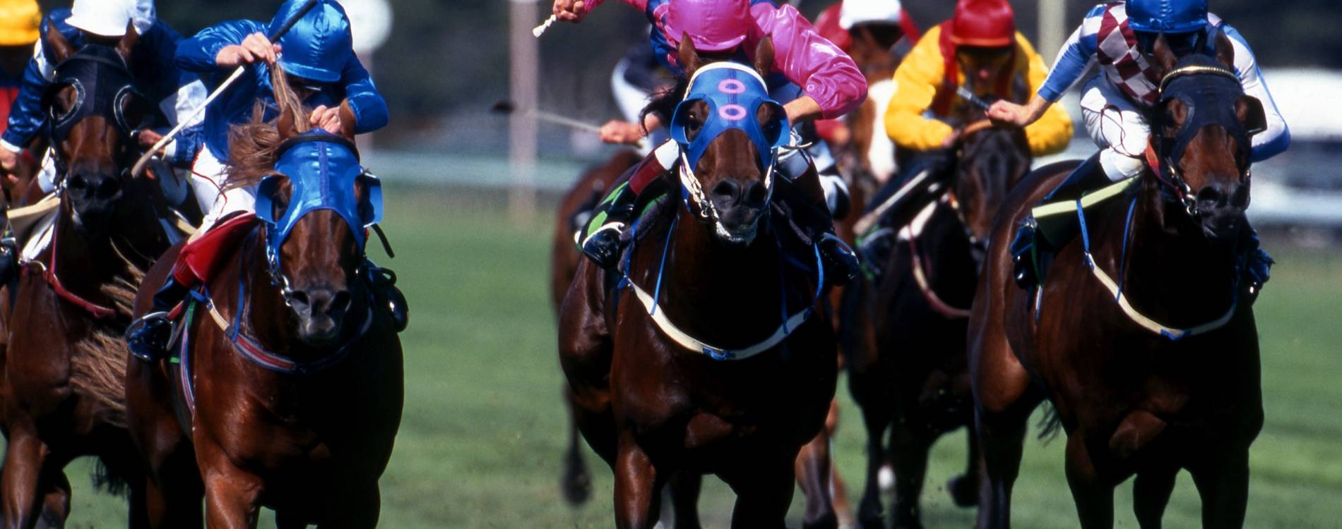 Black Caviar