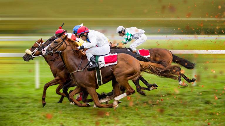 The Rand Farm Park Boxing Day Racing