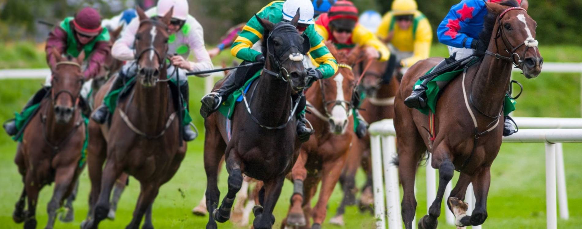 Bulmers Live @ Leopardstown