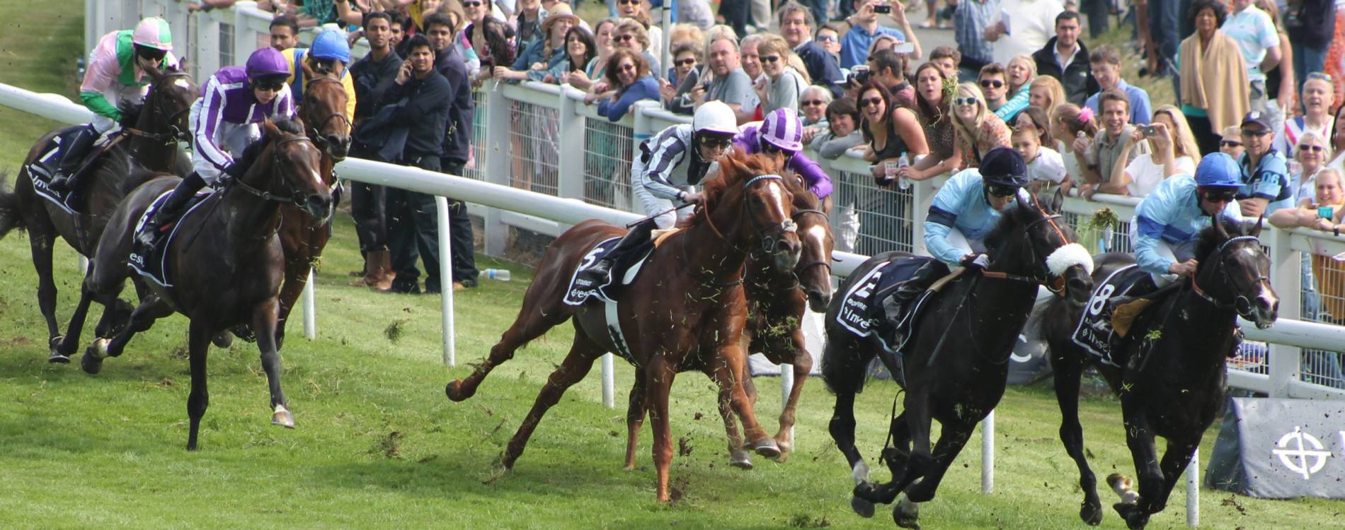 Camelot won the 2012 Epsom Derby in front of huge crowds