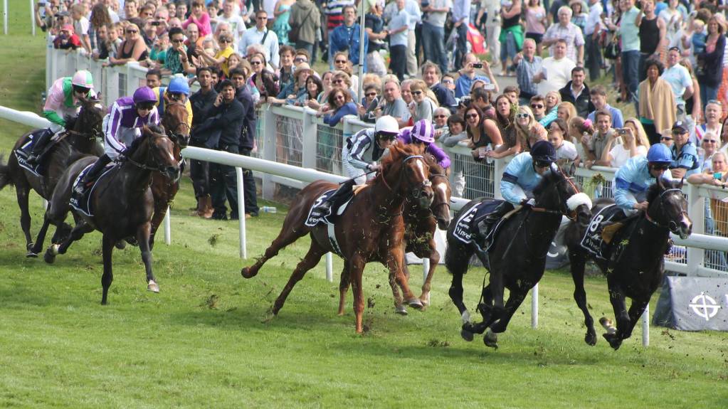 Camelot won the 2012 Epsom Derby in front of huge crowds