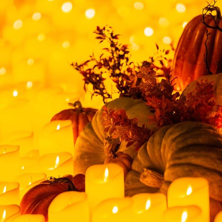 Candlelight: A Haunted Evening of Halloween Classics
