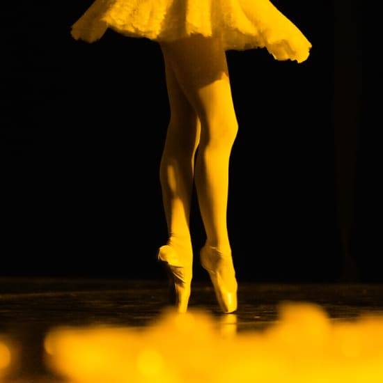 Candlelight Ballet: El Lago de los Cisnes de Tchaikovsky