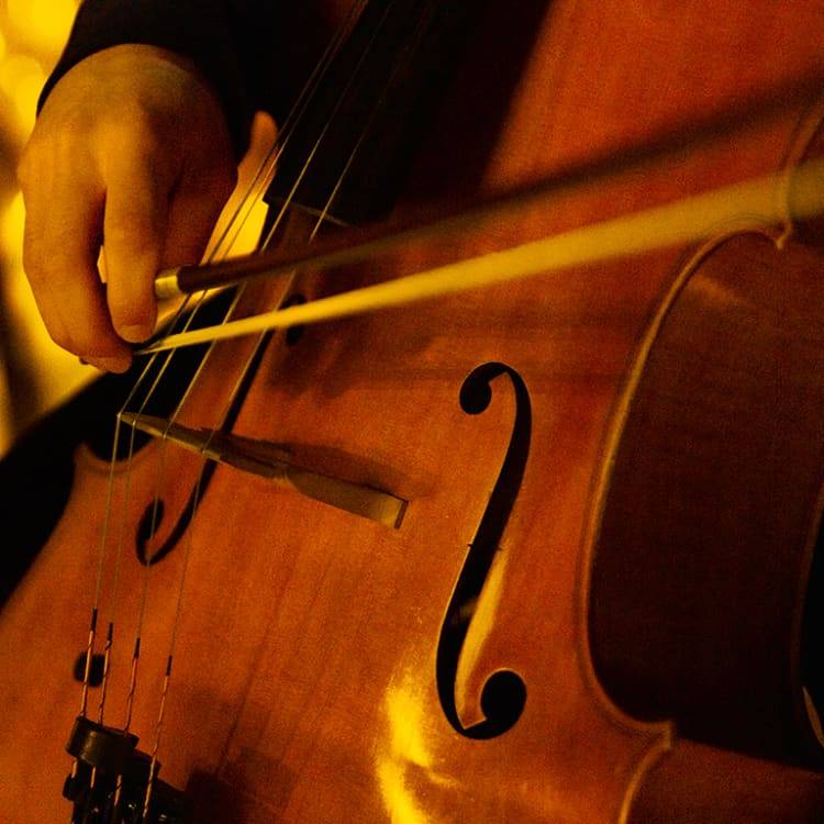 Candlelight: Las Cuatro Estaciones de Vivaldi