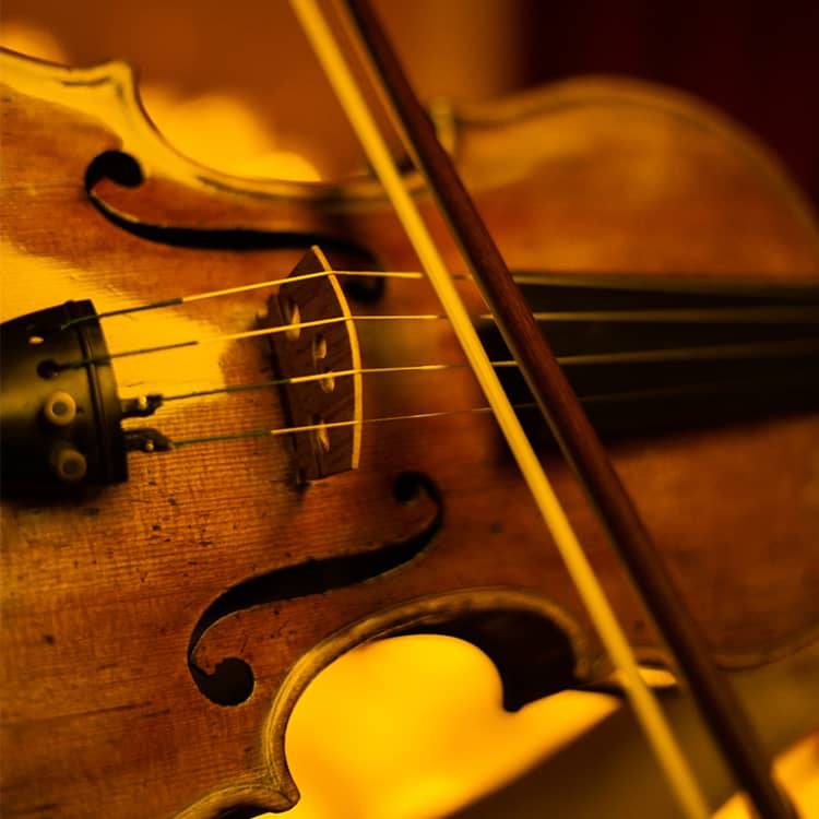 Candlelight: Las Cuatro Estaciones de Vivaldi