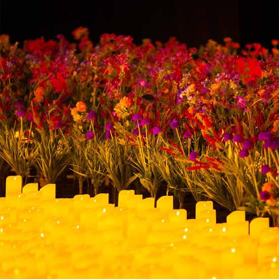 Candlelight: The Best of Bridgerton on Strings