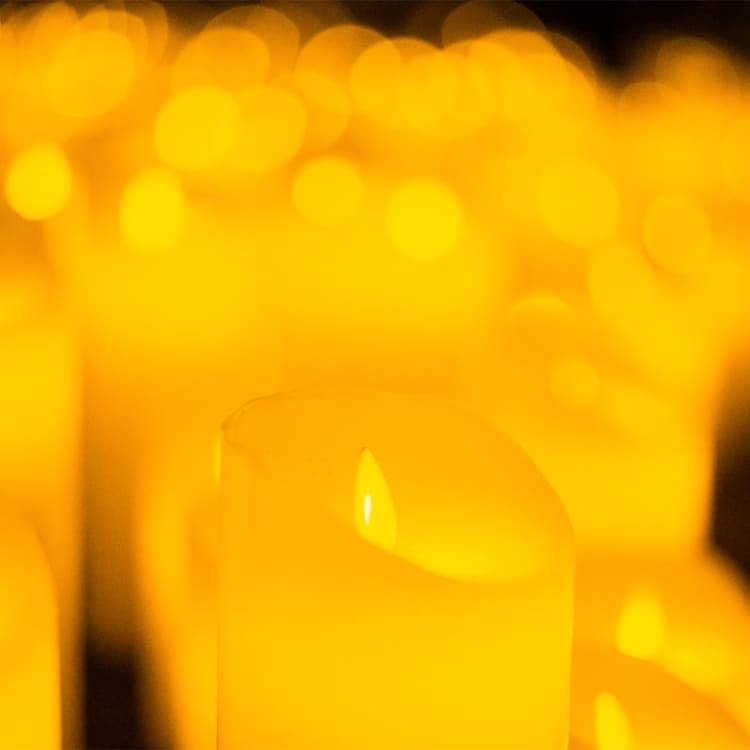 Candlelight: Tribut an Fleetwood Mac