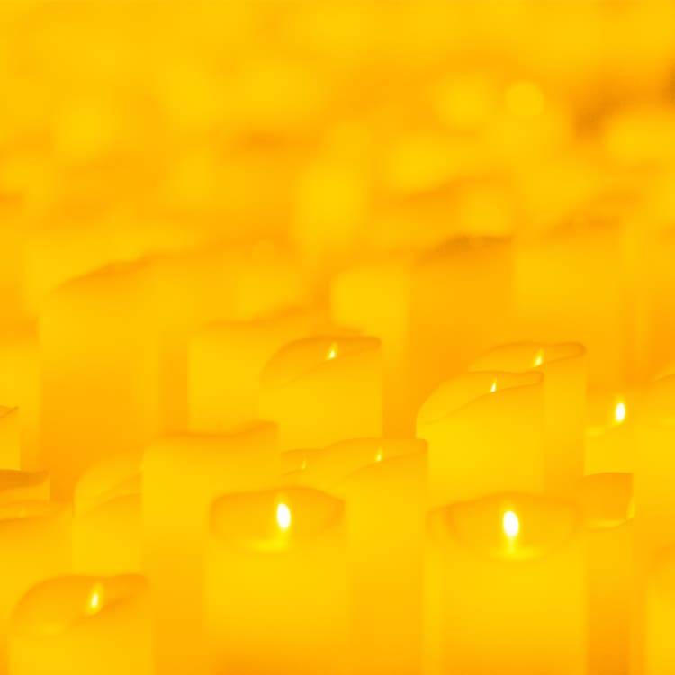 Candlelight: Vivaldis „Vier Jahreszeiten“