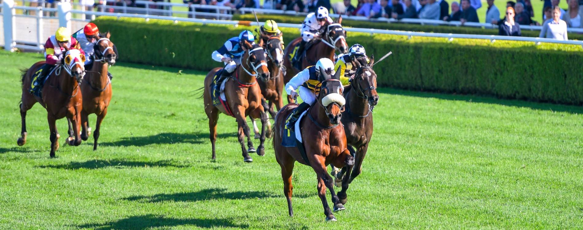 Canterbury Park Raceday Tickets 3 Jul 2024 Canterbury Park