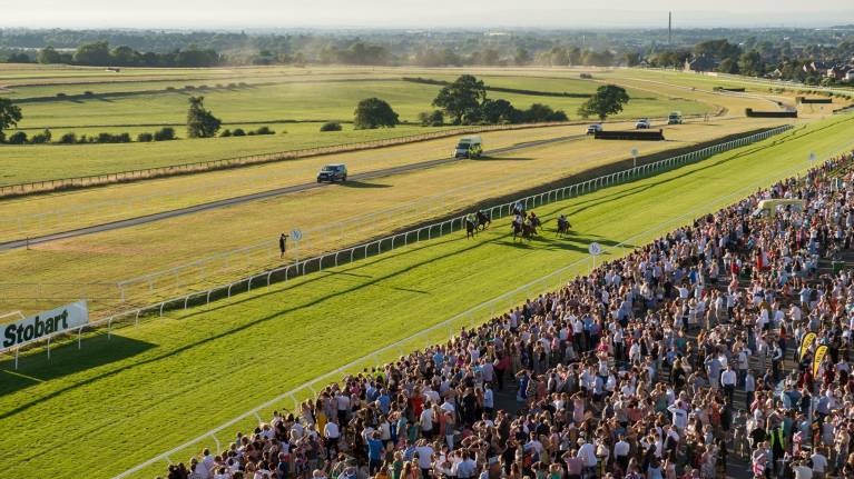 Feel-Good Friday Raceday