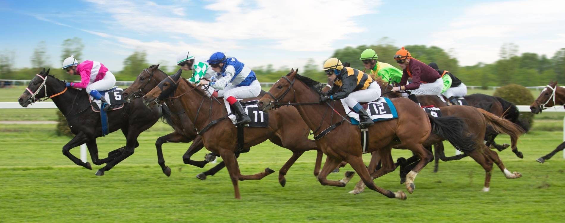Cartmel Cup Day
